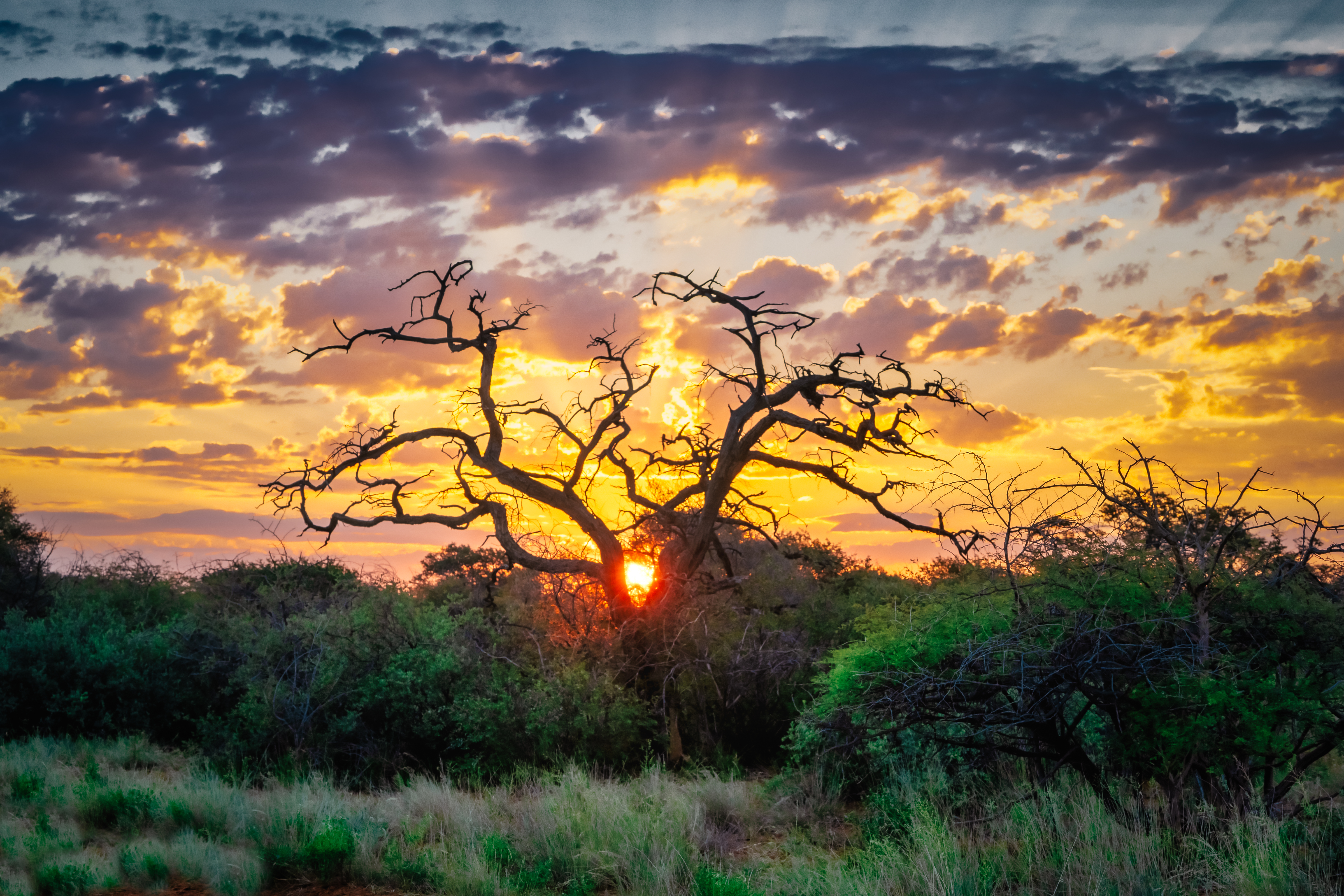 Sunset in South Africa